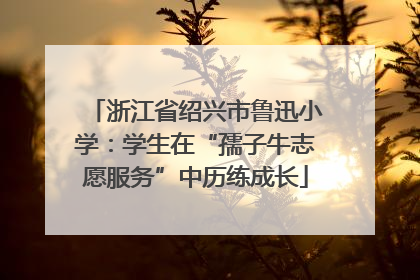 浙江省绍兴市鲁迅小学：学生在“孺子牛志愿服务”中历练成长