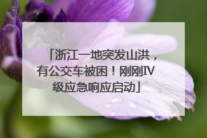 浙江一地突发山洪，有公交车被困！刚刚Ⅳ级应急响应启动