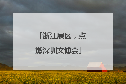 浙江展区，点燃深圳文博会