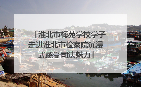 淮北市梅苑学校学子走进淮北市检察院沉浸式感受司法魅力