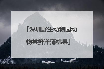 深圳野生动物园动物尝鲜洋蒲桃果
