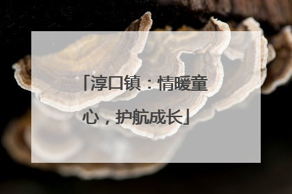 淳口镇：情暖童心，护航成长