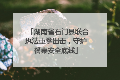 湖南省石门县联合执法重拳出击，守护餐桌安全底线
