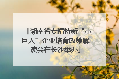 湖南省专精特新“小巨人”企业培育政策解读会在长沙举办