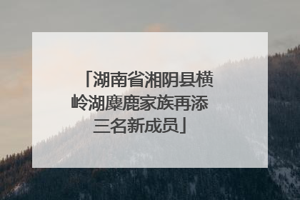 湖南省湘阴县横岭湖麋鹿家族再添三名新成员