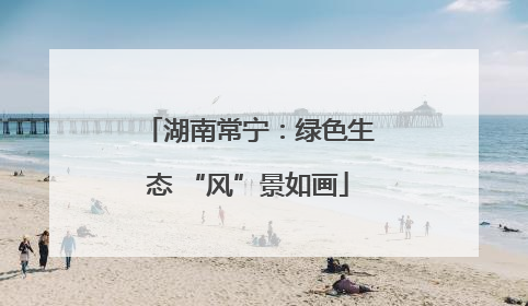 湖南常宁：绿色生态 “风”景如画