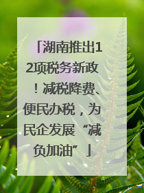 湖南推出12项税务新政！减税降费、便民办税，为民企发展“减负加油”