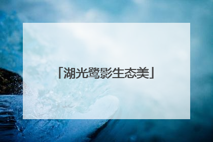 湖光鹭影生态美