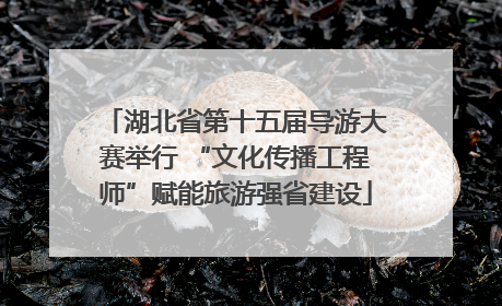 湖北省第十五届导游大赛举行 “文化传播工程师”赋能旅游强省建设