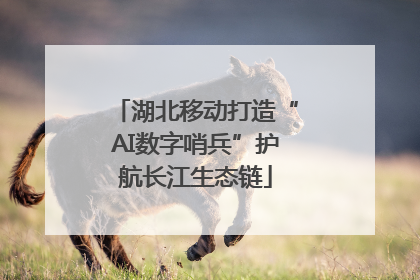 湖北移动打造“AI数字哨兵”护航长江生态链