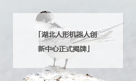 湖北人形机器人创新中心正式揭牌