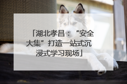 湖北孝昌：“安全大集”打造一站式沉浸式学习现场