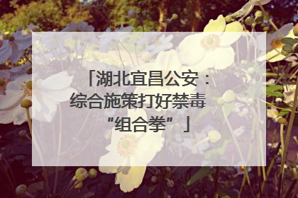 湖北宜昌公安：综合施策打好禁毒“组合拳”