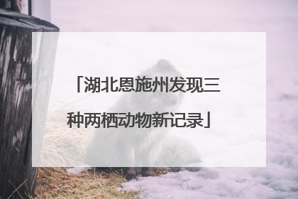 湖北恩施州发现三种两栖动物新记录