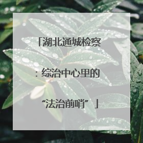 湖北通城检察：综治中心里的“法治前哨”