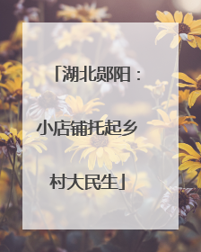 湖北郧阳：小店铺托起乡村大民生