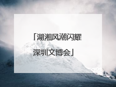 湖湘风潮闪耀深圳文博会