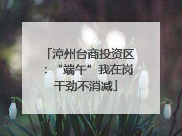 漳州台商投资区：“端午”我在岗 干劲不消减