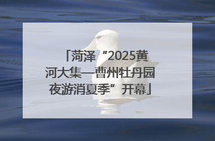 菏泽“2025黄河大集—曹州牡丹园夜游消夏季”开幕
