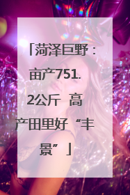 菏泽巨野：亩产751.2公斤  高产田里好“丰景”