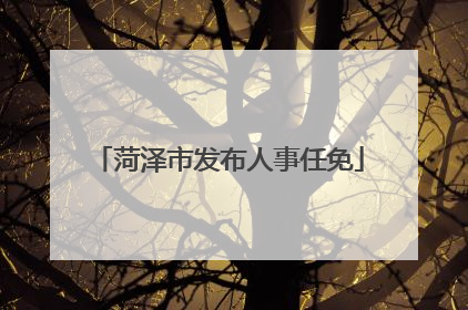 菏泽市发布人事任免
