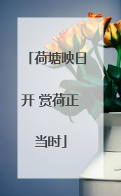 荷塘映日开 赏荷正当时