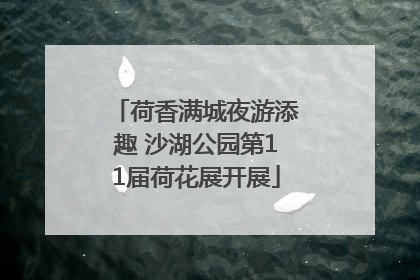 荷香满城夜游添趣 沙湖公园第11届荷花展开展