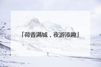 荷香满城，夜游添趣
