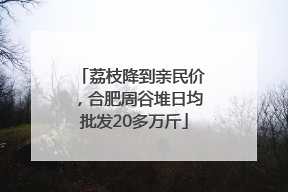 荔枝降到亲民价，合肥周谷堆日均批发20多万斤