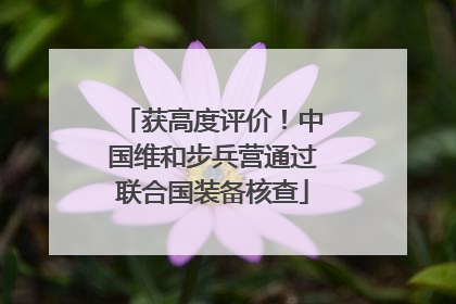获高度评价！中国维和步兵营通过联合国装备核查