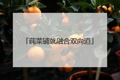 莼菜铺就融合双向道