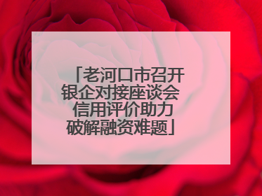 老河口市召开银企对接座谈会 信用评价助力破解融资难题