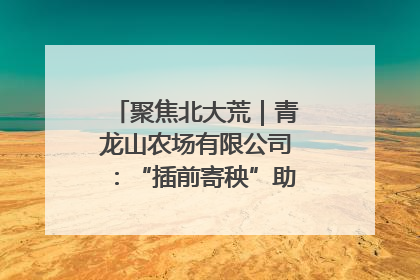 聚焦北大荒｜青龙山农场有限公司：“插前寄秧”助力农业节本增效