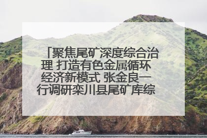 聚焦尾矿深度综合治理 打造有色金属循环经济新模式 张金良一行调研栾川县尾矿库综合治理工作