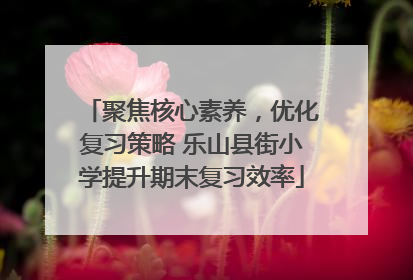 聚焦核心素养，优化复习策略 乐山县街小学提升期末复习效率