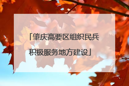 肇庆高要区组织民兵积极服务地方建设