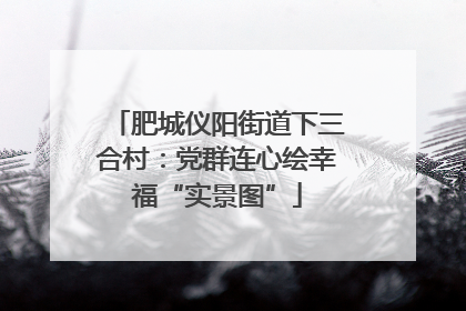 肥城仪阳街道下三合村：党群连心绘幸福“实景图”