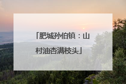 肥城孙伯镇：山村油杏满枝头