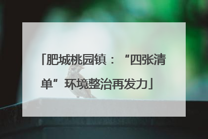 肥城桃园镇：“四张清单”环境整治再发力