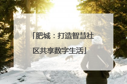 肥城：打造智慧社区共享数字生活