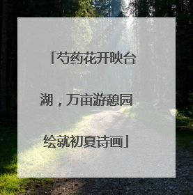 芍药花开映台湖，万亩游憩园绘就初夏诗画
