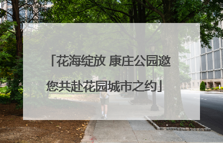 花海绽放 康庄公园邀您共赴花园城市之约
