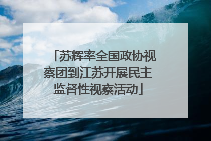 苏辉率全国政协视察团到江苏开展民主监督性视察活动