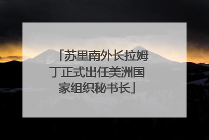 苏里南外长拉姆丁正式出任美洲国家组织秘书长