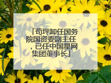 苟坪卸任国务院国资委副主任，已任中国星网集团董事长