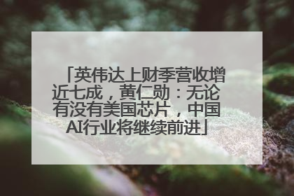 英伟达上财季营收增近七成，黄仁勋：无论有没有美国芯片，中国AI行业将继续前进
