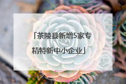 茶陵县新增5家专精特新中小企业