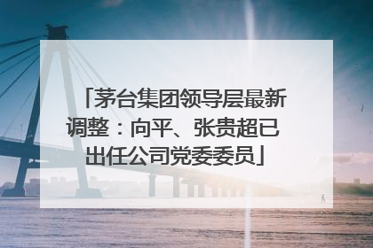茅台集团领导层最新调整：向平、张贵超已出任公司党委委员