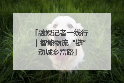 融媒记者一线行｜智能物流“链”动城乡富路
