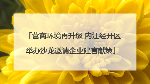 营商环境再升级 内江经开区举办沙龙邀请企业建言献策